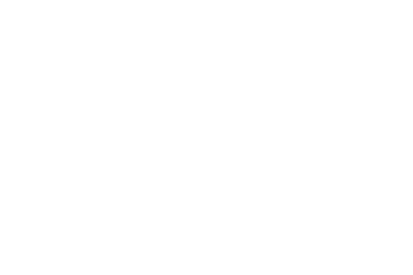 Big O Tires